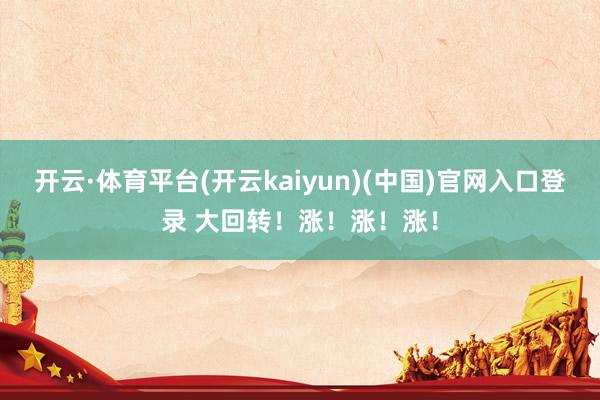 开云·体育平台(开云kaiyun)(中国)官网入口登录 大回转！涨！涨！涨！