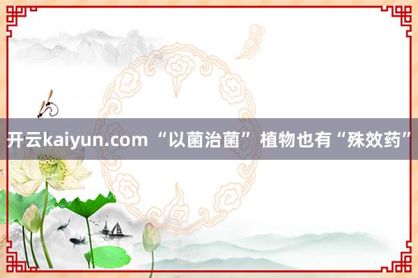 开云kaiyun.com “以菌治菌” 植物也有“殊效药”