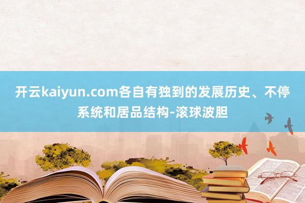 开云kaiyun.com各自有独到的发展历史、不停系统和居品结构-滚球波胆