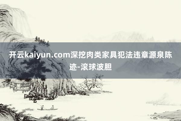 开云kaiyun.com深挖肉类家具犯法违章源泉陈迹-滚球波胆