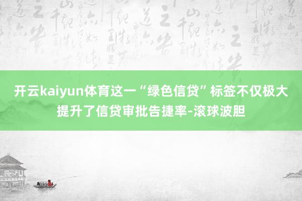 开云kaiyun体育这一“绿色信贷”标签不仅极大提升了信贷审批告捷率-滚球波胆
