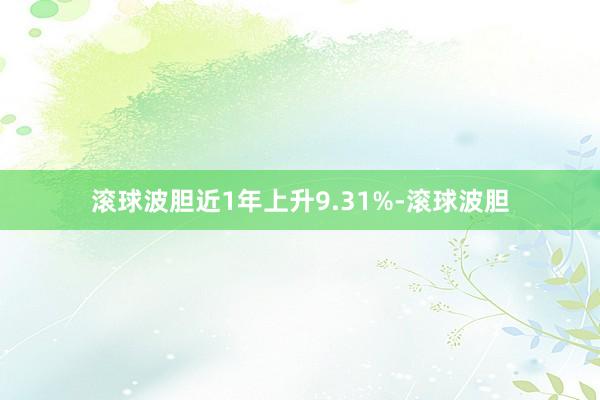 滚球波胆近1年上升9.31%-滚球波胆