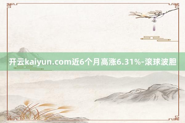 开云kaiyun.com近6个月高涨6.31%-滚球波胆