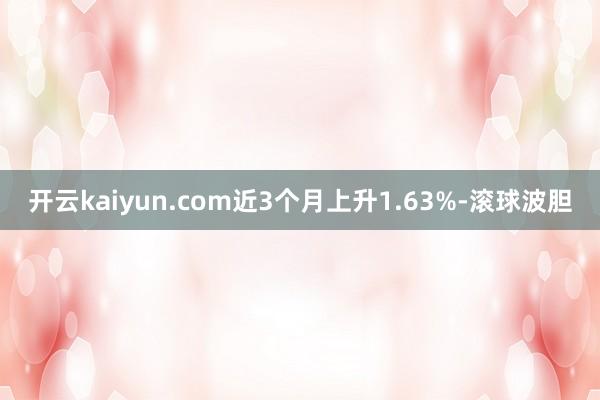 开云kaiyun.com近3个月上升1.63%-滚球波胆
