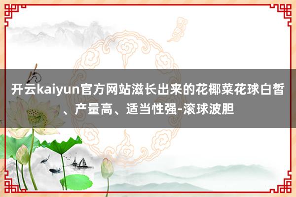 开云kaiyun官方网站滋长出来的花椰菜花球白皙、产量高、适当性强-滚球波胆