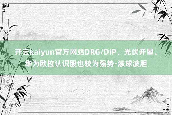 开云kaiyun官方网站DRG/DIP、光伏开垦、华为欧拉认识股也较为强势-滚球波胆