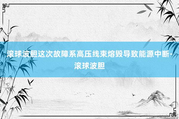 滚球波胆这次故障系高压线束熔毁导致能源中断-滚球波胆