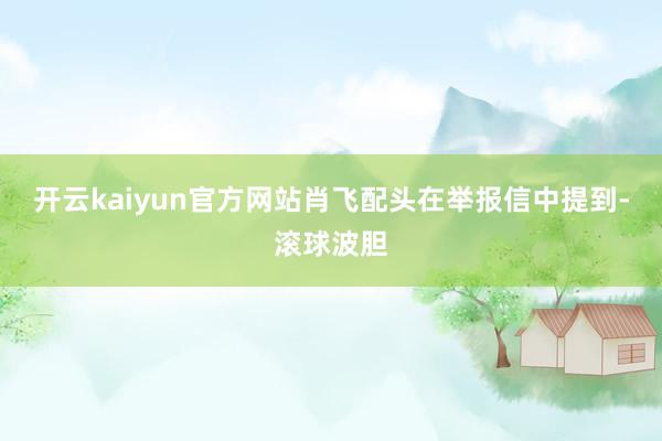 开云kaiyun官方网站肖飞配头在举报信中提到-滚球波胆