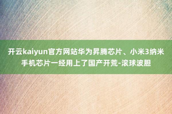 开云kaiyun官方网站华为昇腾芯片、小米3纳米手机芯片一经用上了国产开荒-滚球波胆