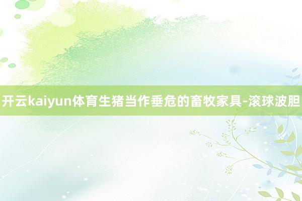 开云kaiyun体育生猪当作垂危的畜牧家具-滚球波胆