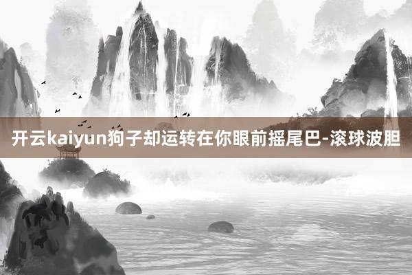 开云kaiyun狗子却运转在你眼前摇尾巴-滚球波胆