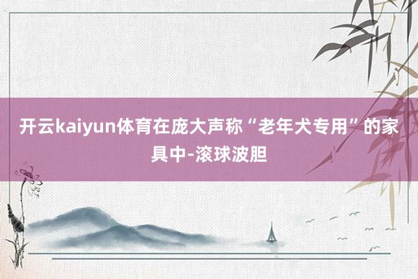 开云kaiyun体育在庞大声称“老年犬专用”的家具中-滚球波胆