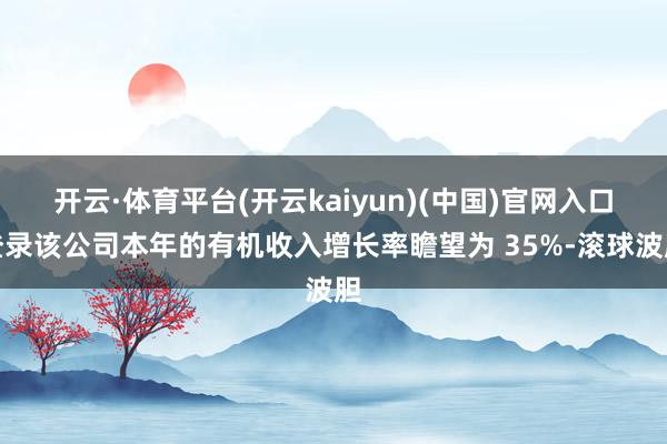 开云·体育平台(开云kaiyun)(中国)官网入口登录该公司本年的有机收入增长率瞻望为 35%-滚球波胆