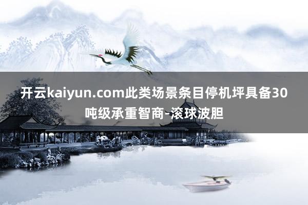 开云kaiyun.com此类场景条目停机坪具备30吨级承重智商-滚球波胆