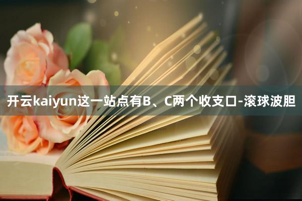 开云kaiyun这一站点有B、C两个收支口-滚球波胆