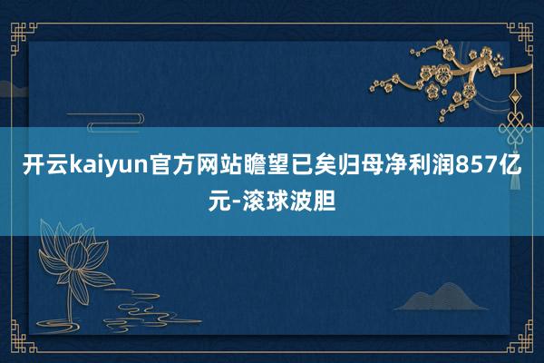开云kaiyun官方网站瞻望已矣归母净利润857亿元-滚球波胆