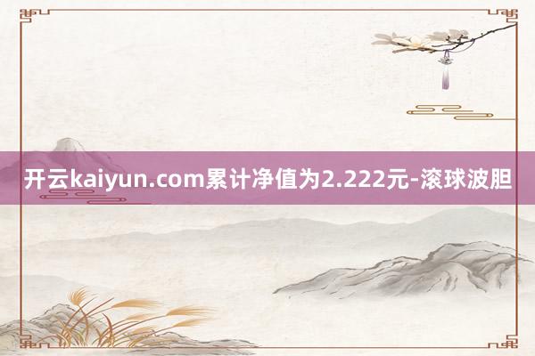 开云kaiyun.com累计净值为2.222元-滚球波胆