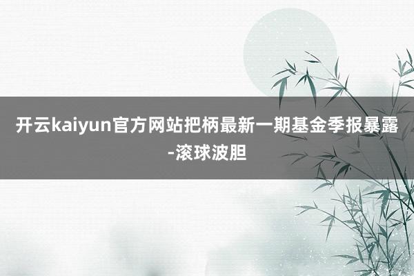 开云kaiyun官方网站把柄最新一期基金季报暴露-滚球波胆