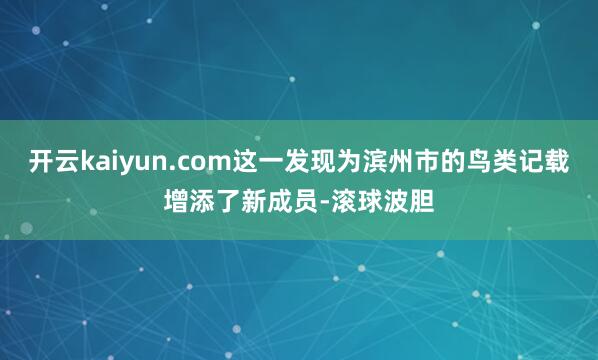 开云kaiyun.com这一发现为滨州市的鸟类记载增添了新成员-滚球波胆
