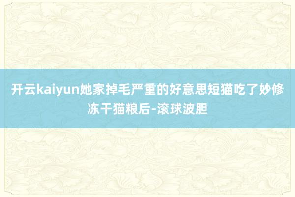 开云kaiyun她家掉毛严重的好意思短猫吃了妙修冻干猫粮后-滚球波胆